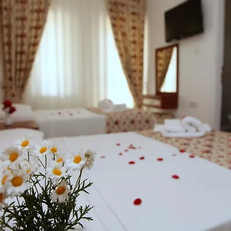 Iksirci Baba 5*